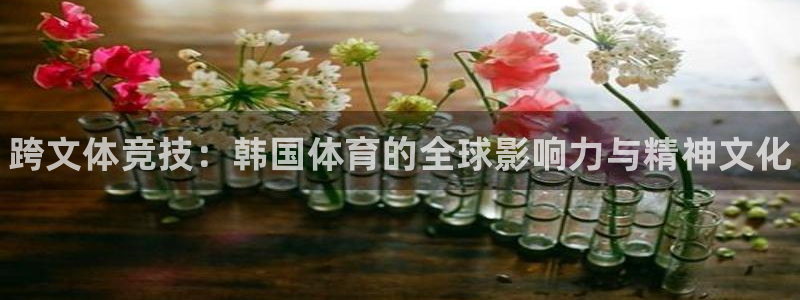 一竞技官方正版app五金厂：跨文体竞技：韩国体育的全