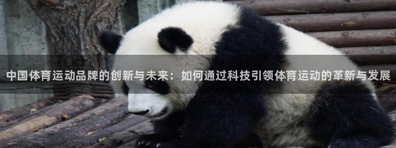 一竞技官网下载招商电话号码查询：中国体育运动品牌的创