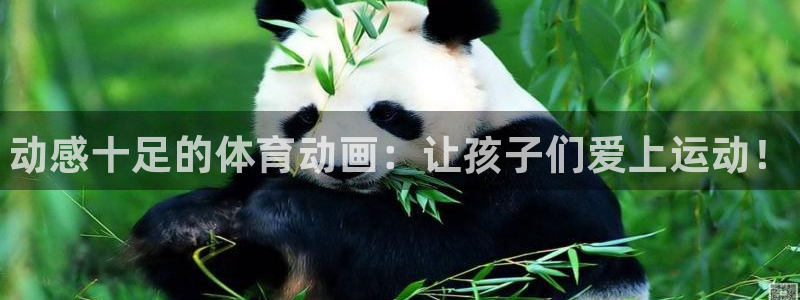 一竞技官网下载平台：动感十足的体育动画：让孩子们爱上
