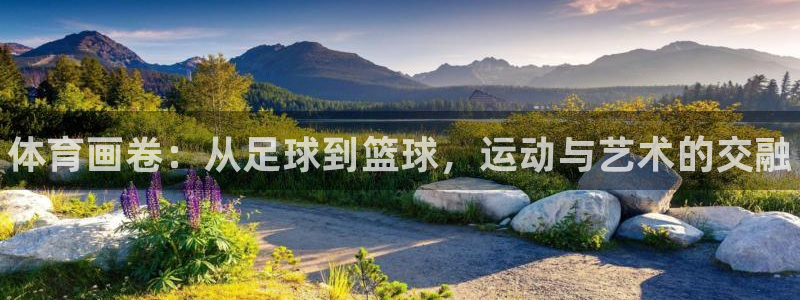 一竞技官网下载招商电话是多少号码：体育画卷：从足球到