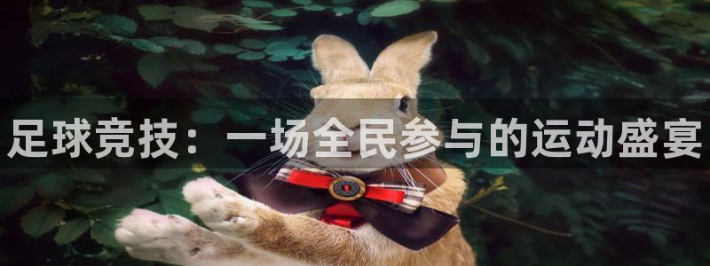 一竞技官网下载娱乐：足球竞技：一场全民参与的运动盛宴