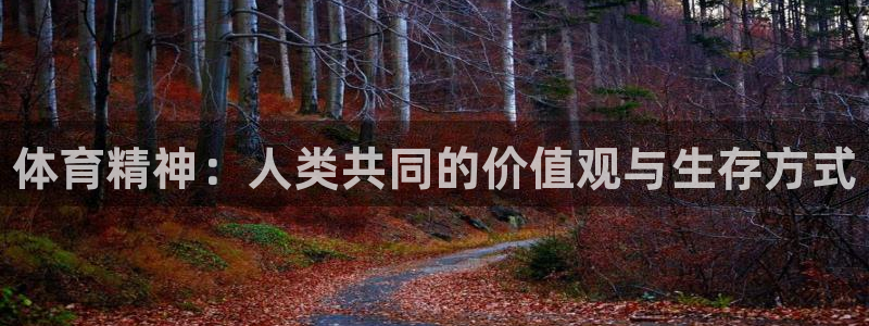 一竞技官方正版app集团官网首页：体育精神：人类共同