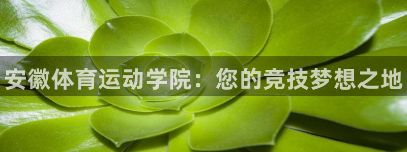 一竞技官网下载开户：安徽体育运动学院：您的竞技梦想之