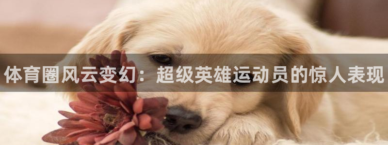 一竞技官网下载注册：体育圈风云变幻：超级英雄运动员的惊人表现