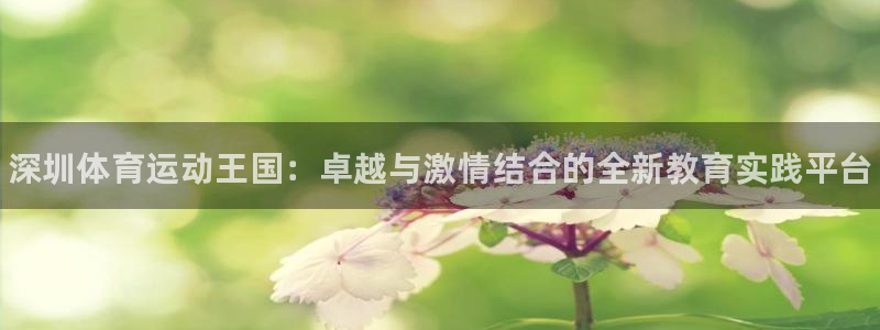 一竞技官网下载娱乐：深圳体育运动王国：卓越与激情结合的全新教