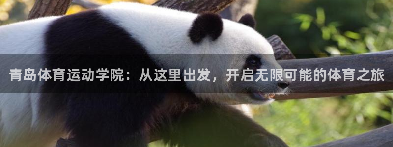一竞技官网下载平台注册要钱吗安全吗：青岛体育运动学院：从这里
