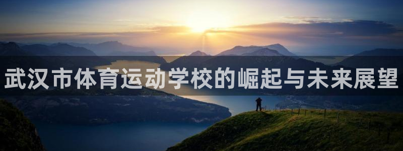 一竞技官网下载：武汉市体育运动学校的崛起与未来展望