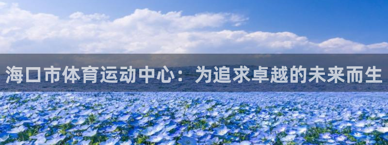 一竞技官网下载平台假的吗是真的吗：海口市体育运动中心