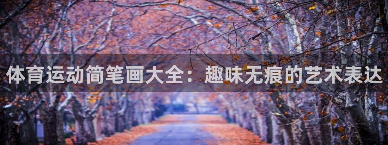 一竞技官网下载平台注册流程视频：体育运动简笔画大全：