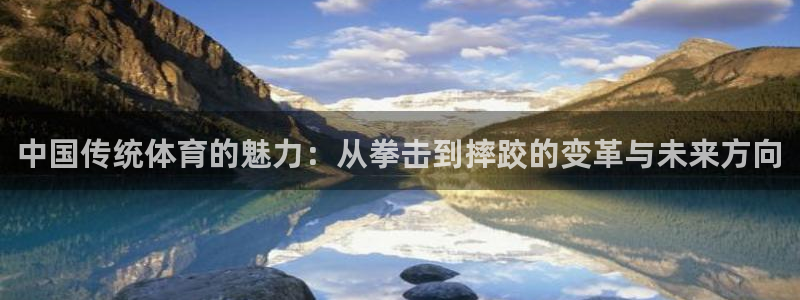 注册一竞技官方正版app：中国传统体育的魅力：从拳击