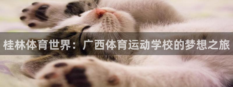 一竞技官方正版app新能源：桂林体育世界：广西体育运