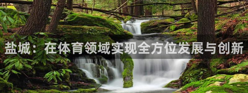 一竞技官方正版app集团：盐城：在体育领域实现全方位