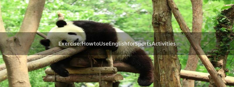 德国一竞技官方正版app集团：Exercise:Ho