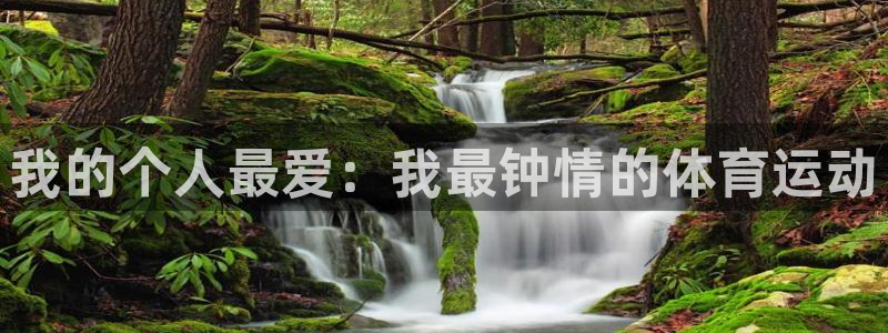 一竞技官网下载娱乐：我的个人最爱：我最钟情的体育运动