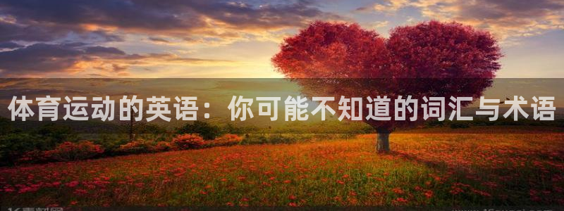 一竞技官方正版app集团E.ON：体育运动的英语：你