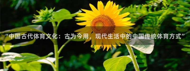 一竞技官方正版app娱乐是那个系列的台子：“中国古代