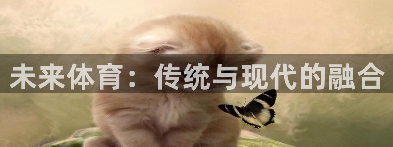 一竞技官网下载平台注册流程视频：未来体育：传统与现代的融合