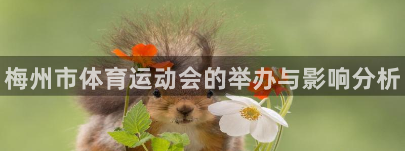 一竞技官网下载平台注册要钱吗安全吗：梅州市体育运动会的举办与