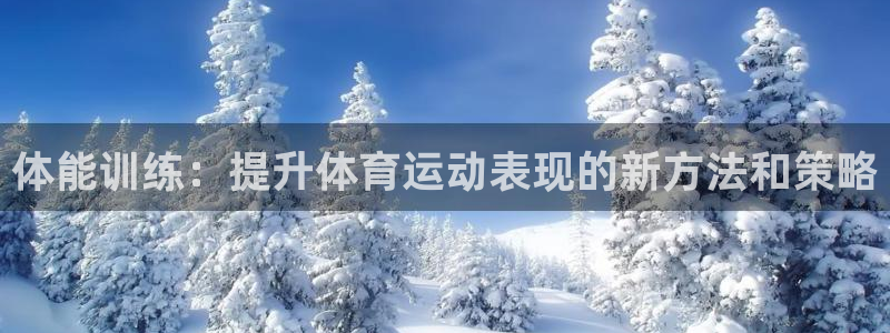 一竞技官方正版app神州