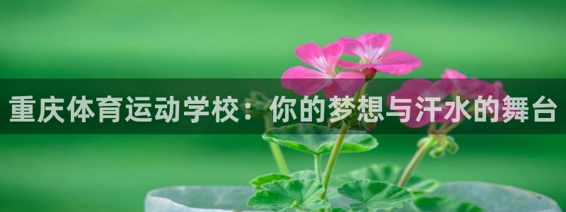 一竞技官网下载招商电话地址