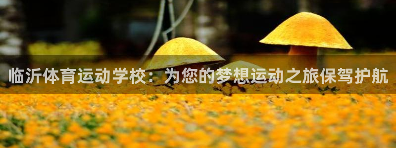 一竞技官网下载招商电话是多少啊：临沂体育运动学校：为您的梦想