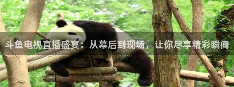 极速体育nba 直播