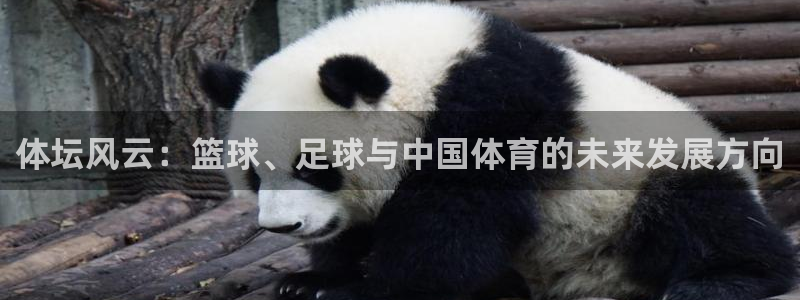 一竞技登录入口