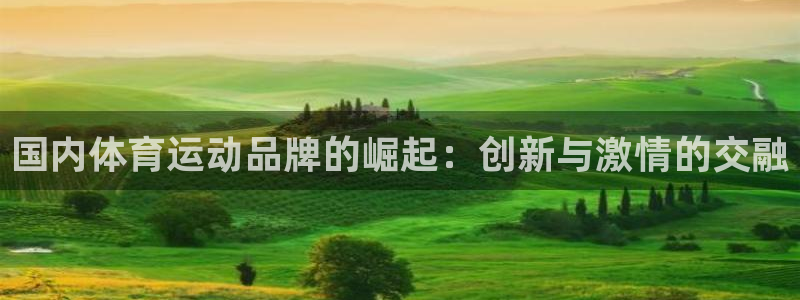 一竞技注册：国内体育运动品牌的崛起：