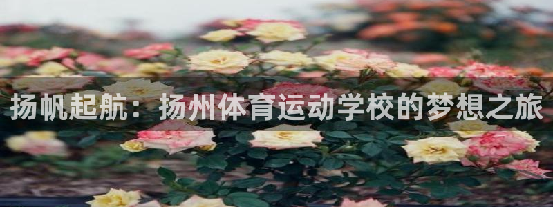  一竞技平台怎么样：扬帆起航：扬州体育运动学校的梦想之旅