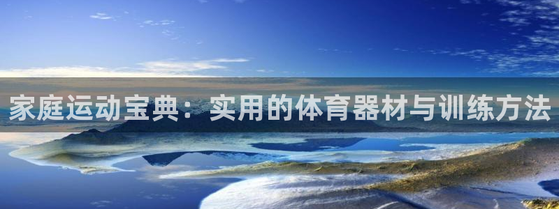 一竞技one卡安不安全：家庭运动宝典：实用的体育器材与训练方