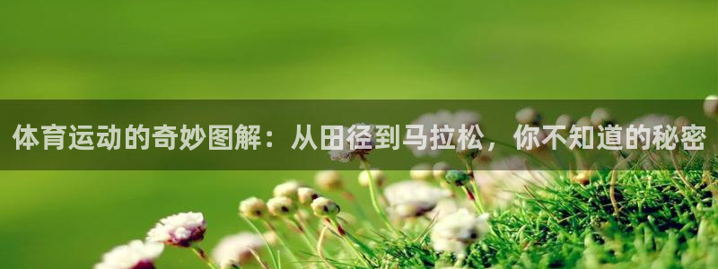 一竞技官网 - 从一开始 竞无止境：体育运动的奇妙图解：从田