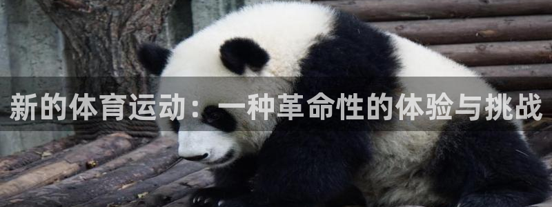  一竞技平台是正规软件吗：新的体育运动：一种革命性的体验与挑战