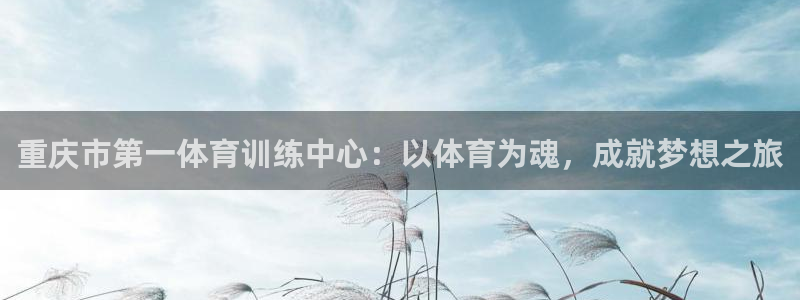 一竞技官网测速入口登录：重庆市第一体