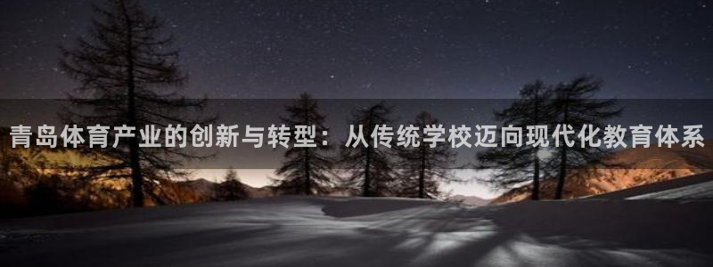  一竞技平台是正规软件吗：青岛体育产业的创新与转型：从传统学校