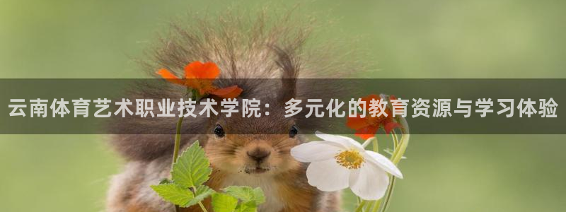  一竞技游戏登录入口：云南体育艺术职业技术学院：多元化的教育资
