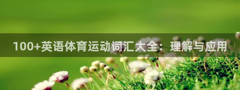  一竞技dota：100+英语体育运动词汇大全：理解与应用