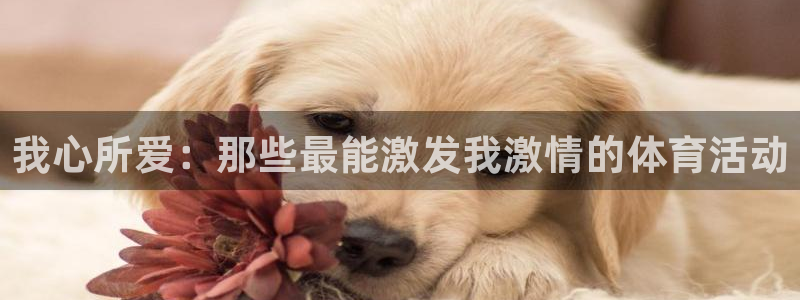 一竞技测速网站：我心所爱：那些最能激