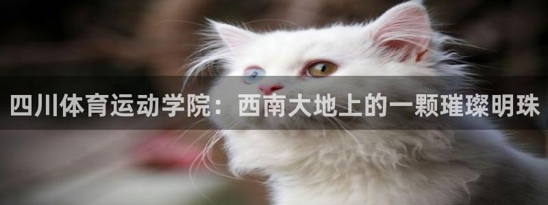  一竞技dota：四川体育运动学院：西南大地上的一颗璀璨明珠