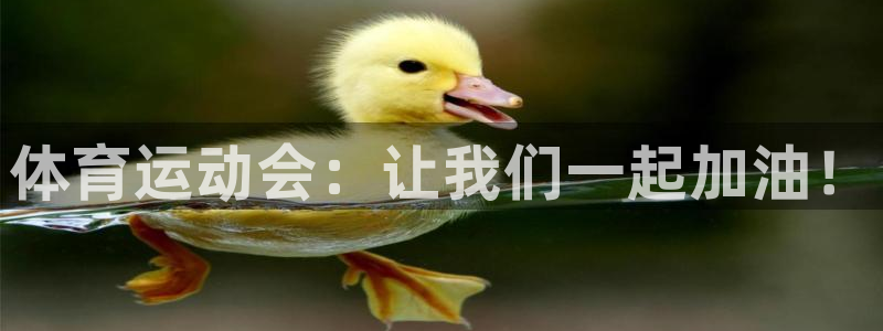 一竞技平台测速：体育运动会：让我们一