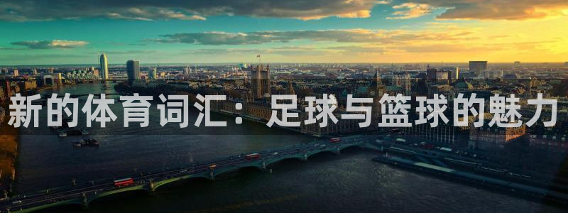 一竞技官网入口登录：新的体育词汇：足球与篮球的魅力