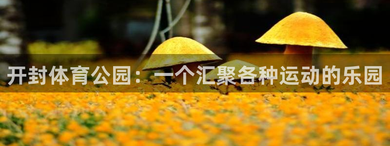 一竞技下载：开封体育公园：一个汇聚各种运动的乐园