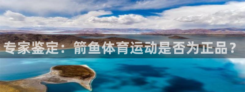 一竞技官网注册流程：专家鉴定：箭鱼体