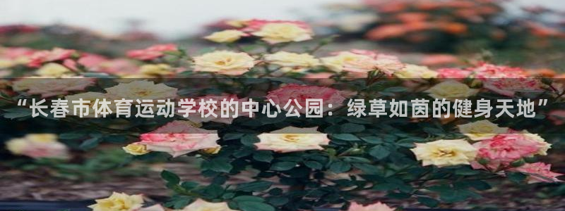 一竞技平台是正规平台吗安全吗：“长春市体育运动学校的中心公园
