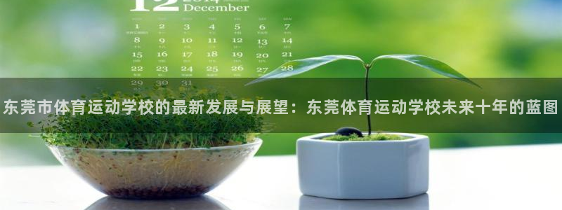 一竞技平台登录入口：东莞市体育运动学