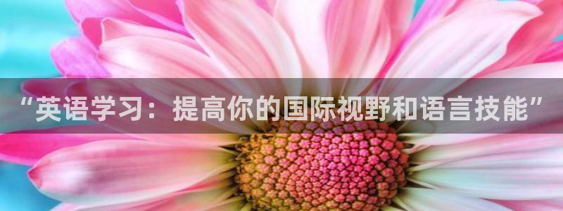 一竞技app下载官方版：“英语学习：