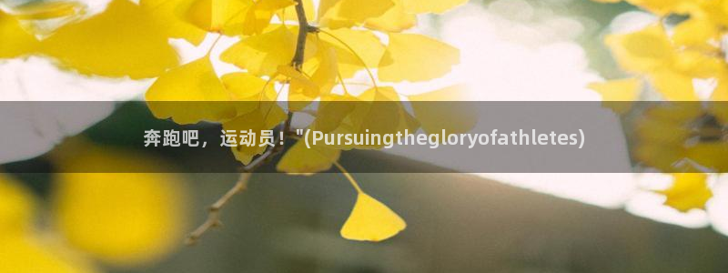 一竞技官网测速入口登录：奔跑吧，运动